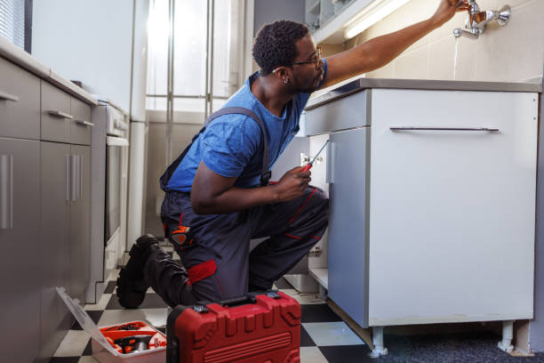 Best Clogged Drain Plumber  in Marshall, MI